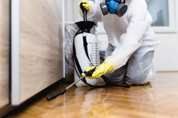Best Commercial Pest Control Services  in Morgan City, LA