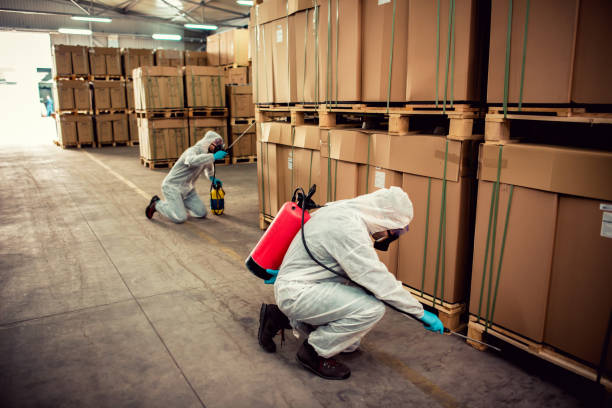 Best Pest Control Near Me  in Morgan City, LA