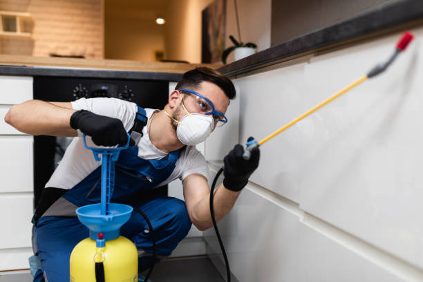 Best Pest Removal Services  in Morgan City, LA