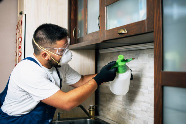 Best Ant Control Services  in Morgan City, LA
