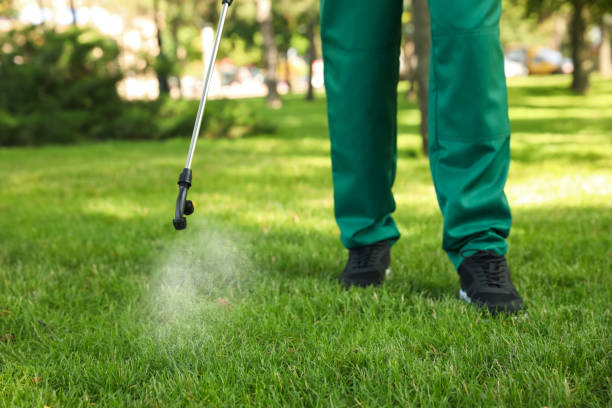 Best Mosquito Control Services  in Morgan City, LA
