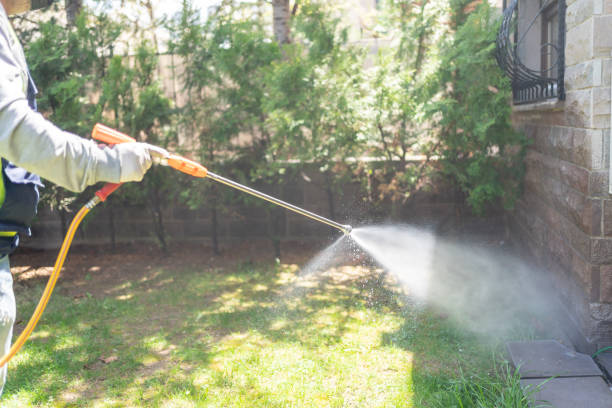 Best Pest Control Near Me in Morgan City, LA