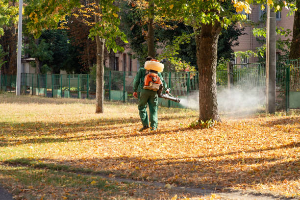 Best Best Pest Control Near Me  in Morgan City, LA