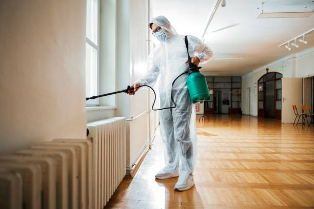 Best Exterminator Services  in Morgan City, LA