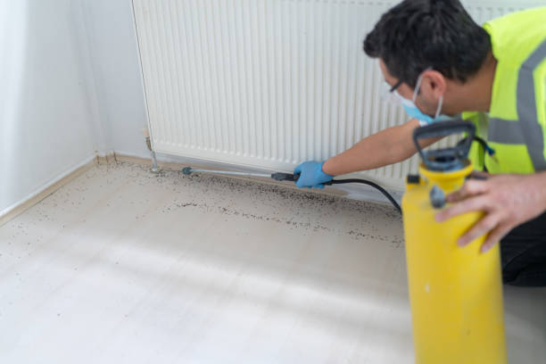 Best Pest Prevention Services  in Morgan City, LA
