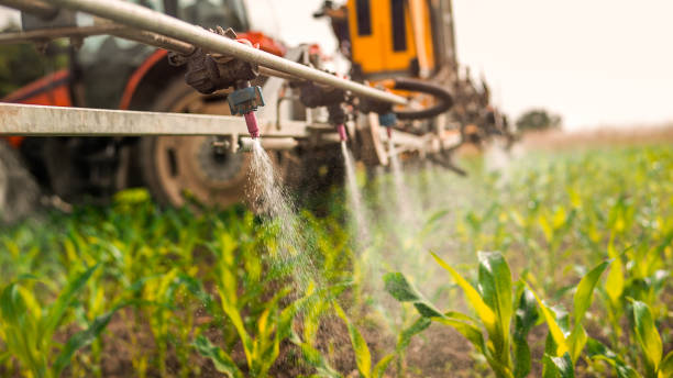 Best Commercial Pest Control Services  in Morgan City, LA